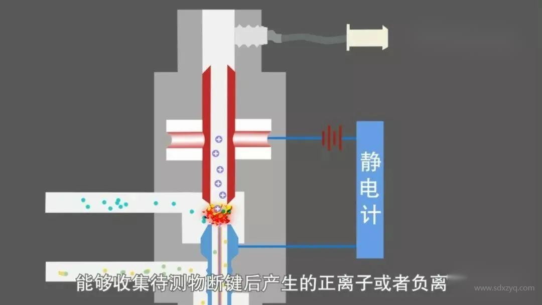 1713843494169830.jpg 5.jpg